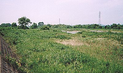 hiki44-16.jpg (36586 �o�C�g)