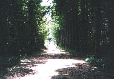 hiki44-4.jpg (30320 �o�C�g)